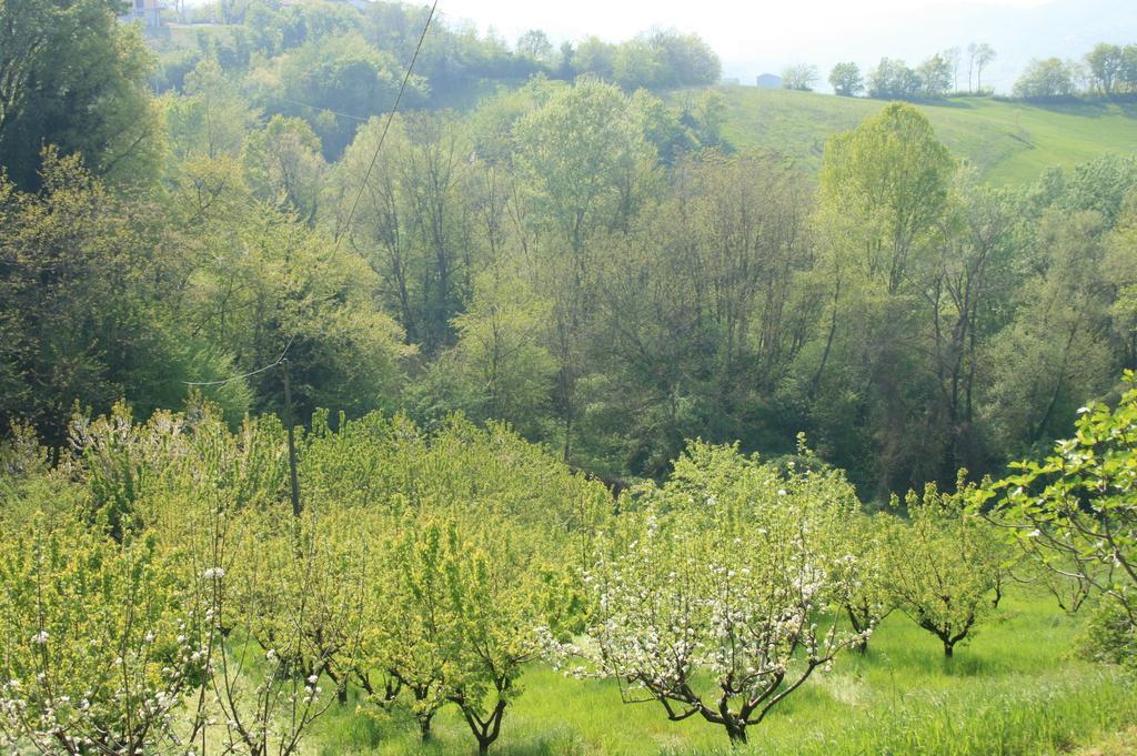 Casa Dell' Abbondanza B&B Agriturismo Vigoleno Luaran gambar