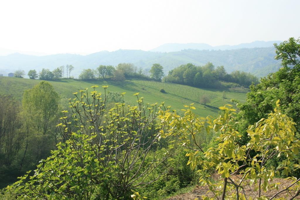 Casa Dell' Abbondanza B&B Agriturismo Vigoleno Luaran gambar