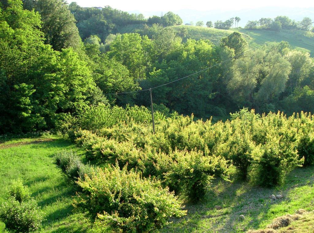 Casa Dell' Abbondanza B&B Agriturismo Vigoleno Bilik gambar