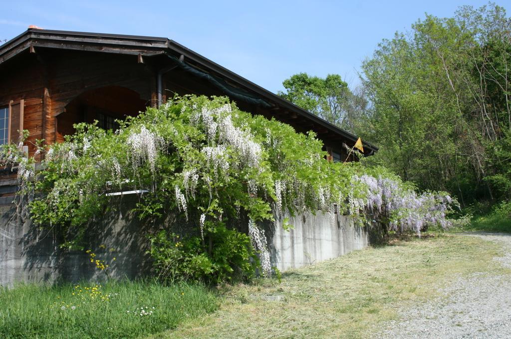 Casa Dell' Abbondanza B&B Agriturismo Vigoleno Luaran gambar
