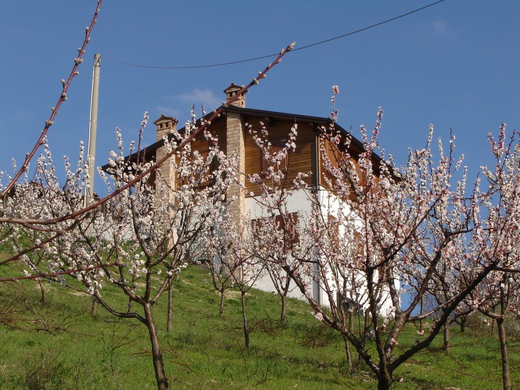Casa Dell' Abbondanza B&B Agriturismo Vigoleno Luaran gambar