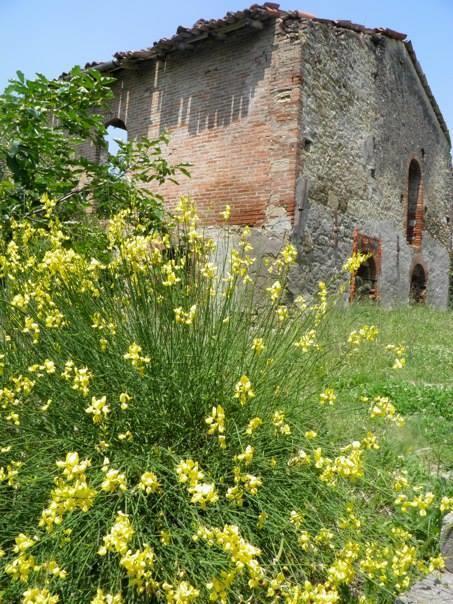 Casa Dell' Abbondanza B&B Agriturismo Vigoleno Luaran gambar